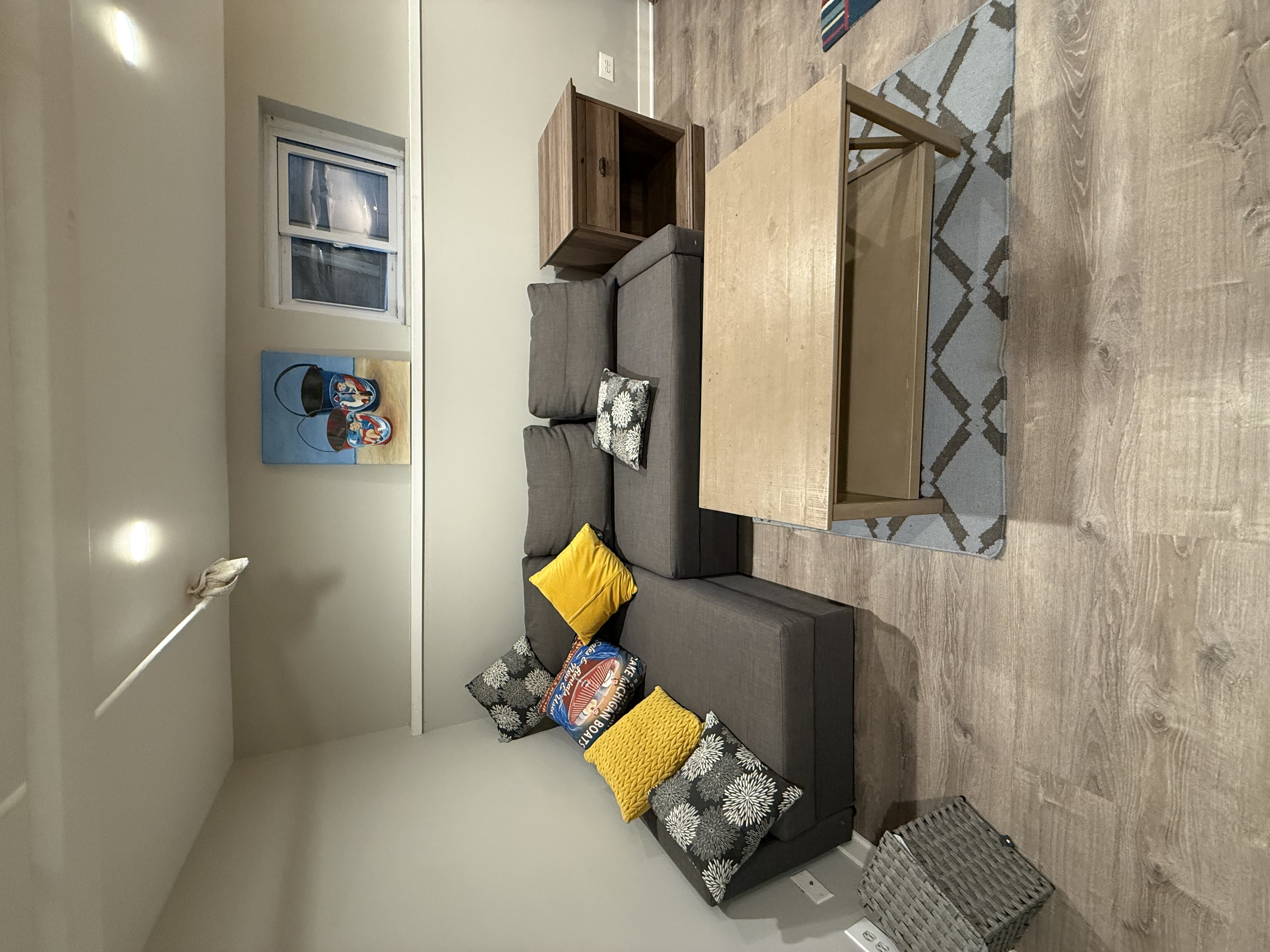 Urban Beach House basement living room with pullout bed